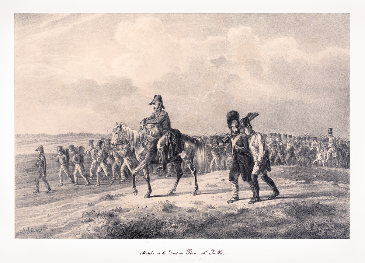 Adam - Division Pino