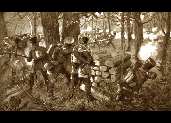 Der deutsche Befreiungskrieg