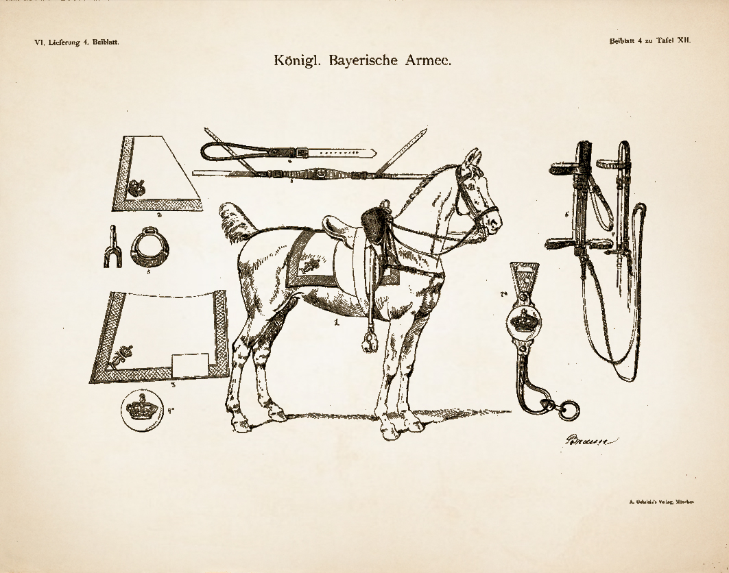 Kgl.-Bay. Armee - Kürassiere 1830-1838 - Detailstudie 4