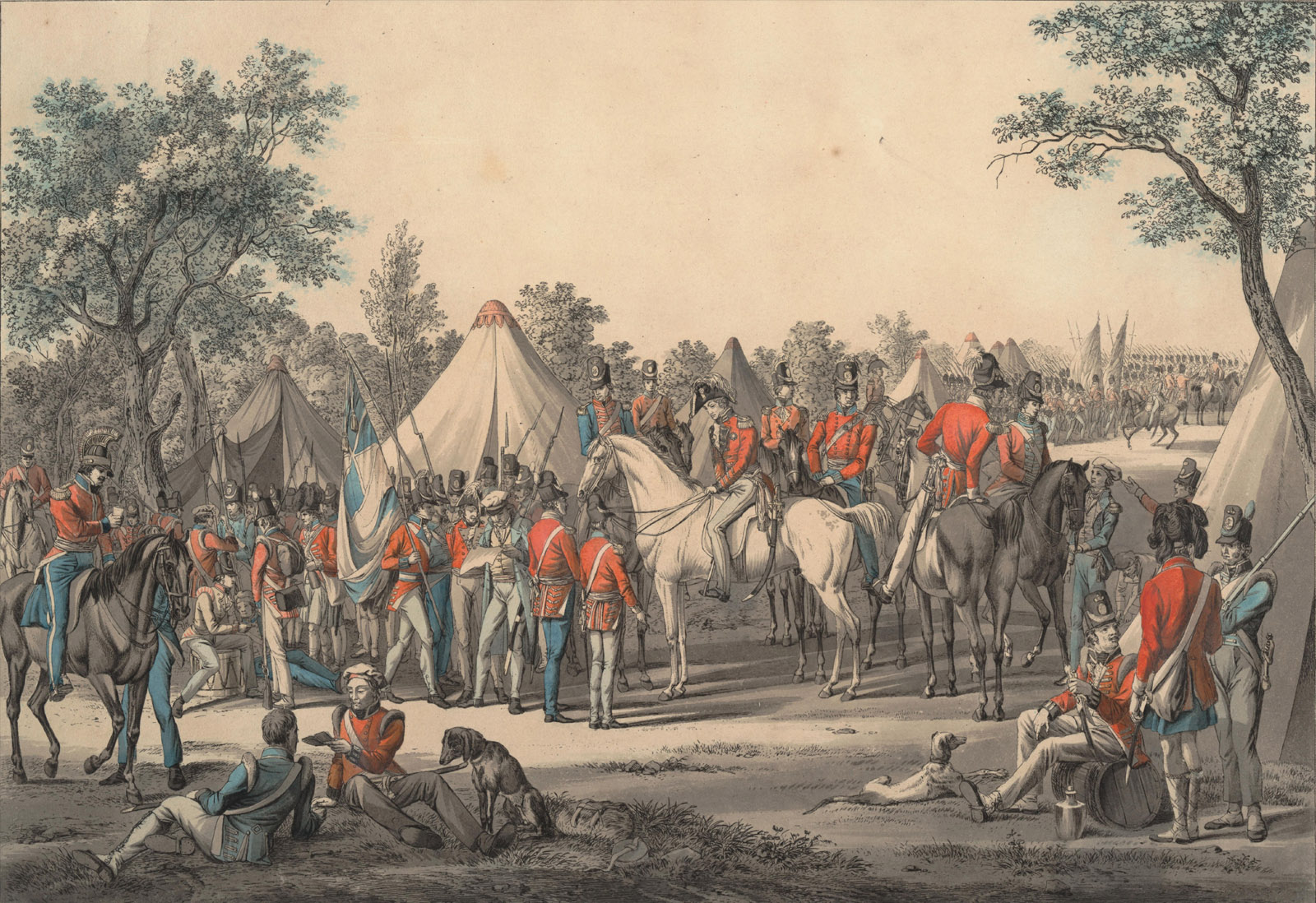 Heerschau - Britannien - Wellington