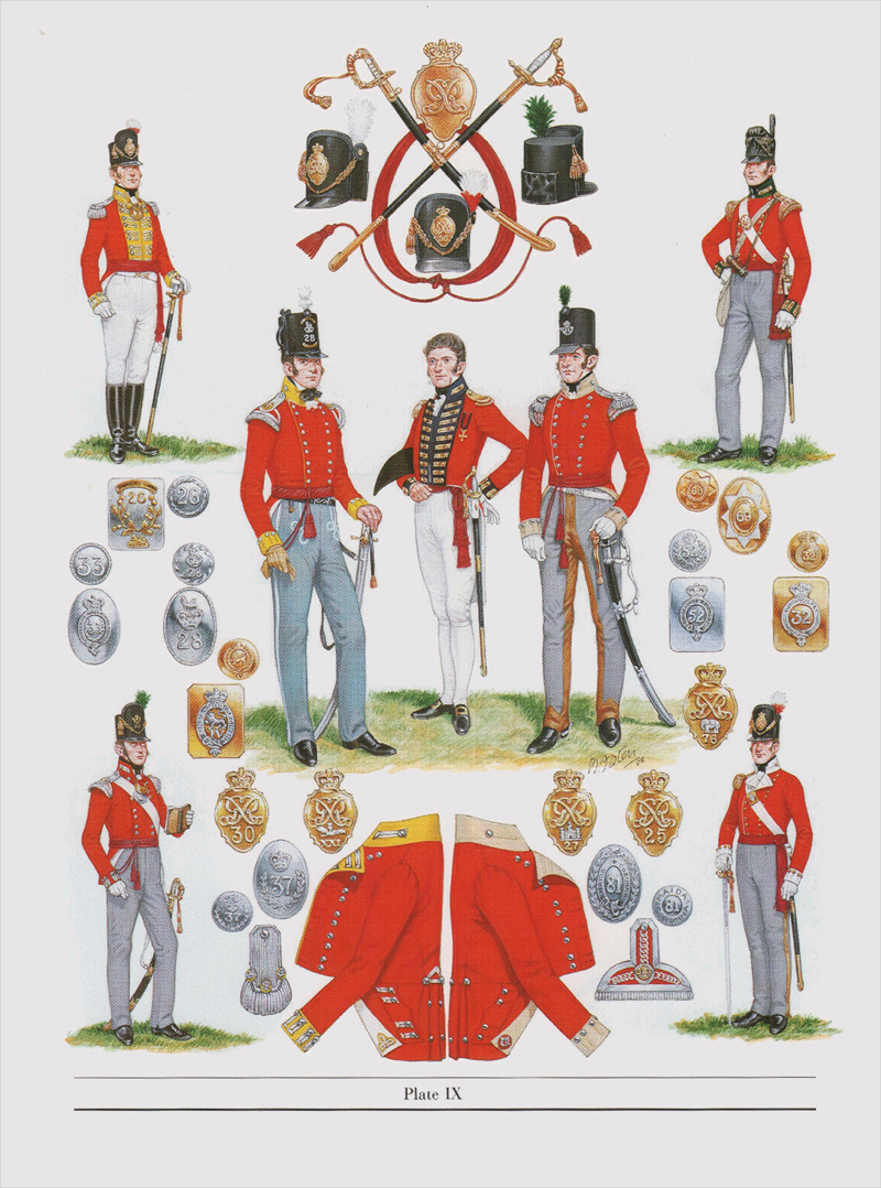 1812-1815 - Infantry-Officers