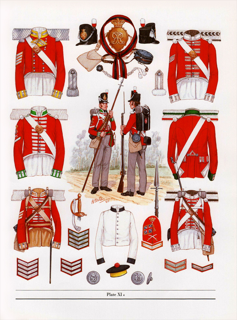 1812-1815 - Battalion Companies