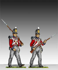 Coldstream Guards